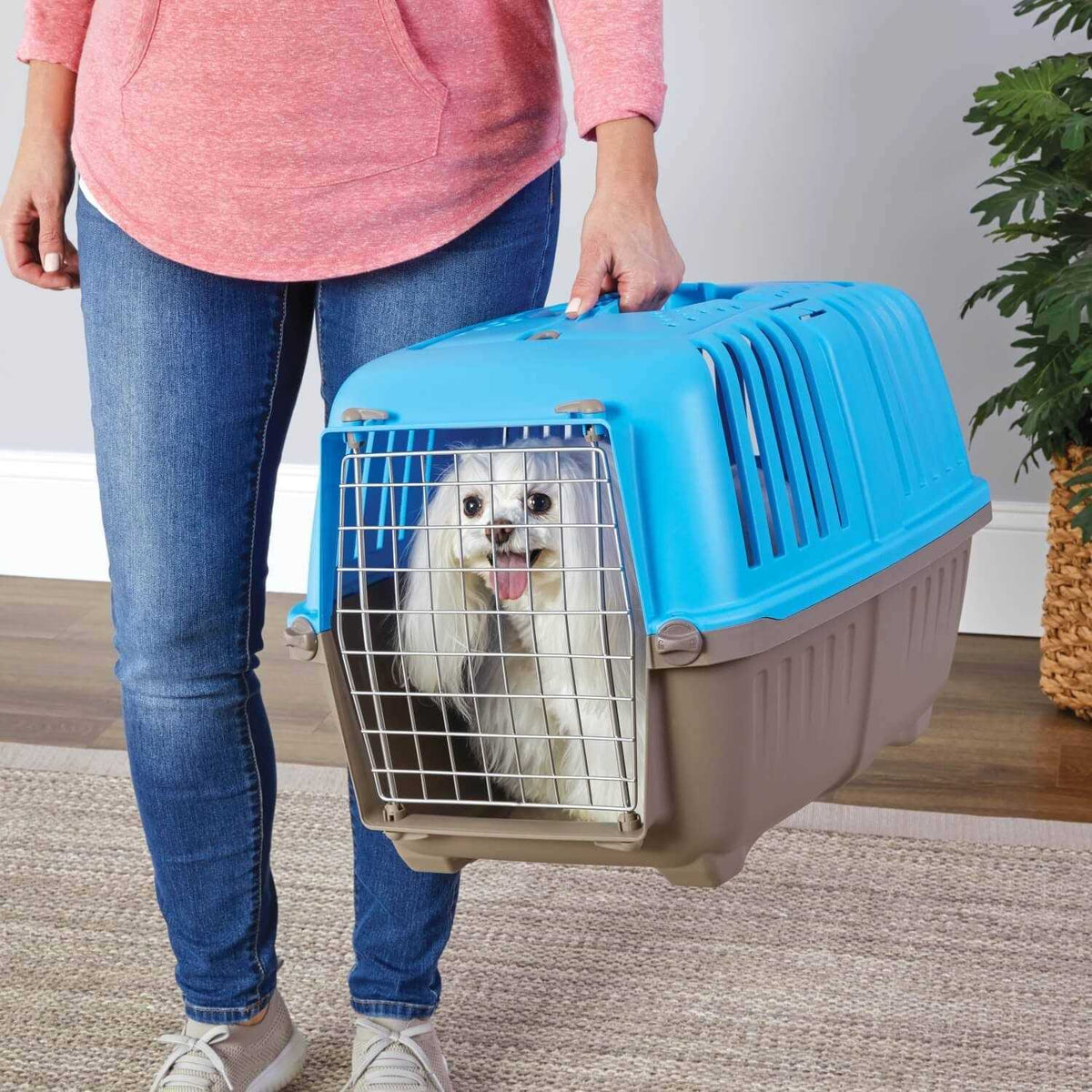 Plastic Pet Carrier X698