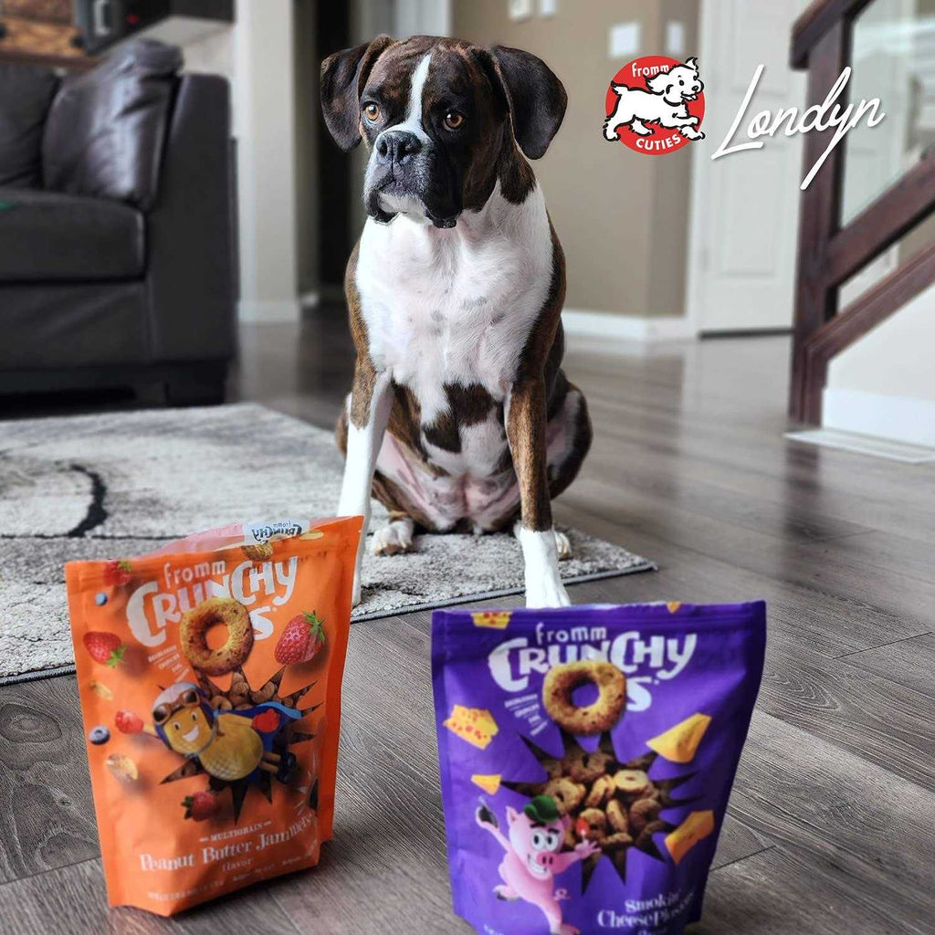 Dog Treats E813704