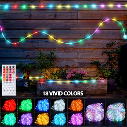 33ft Warm White 100 LED Rope Lights with Remote C664