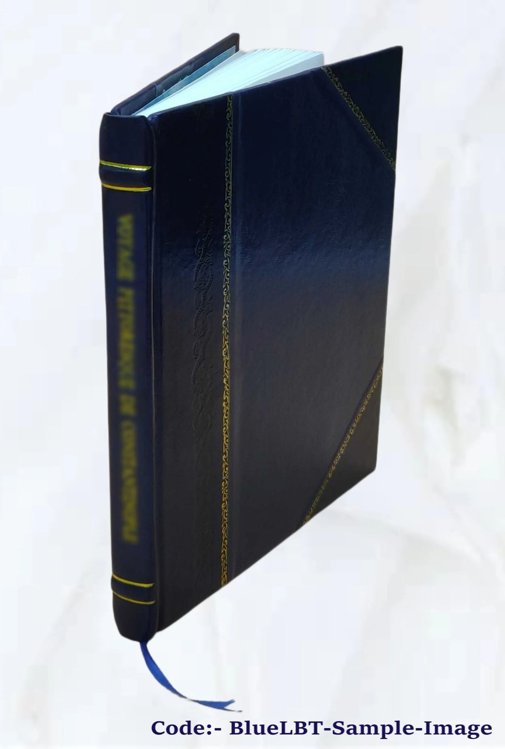 Leather Bound Book H29949