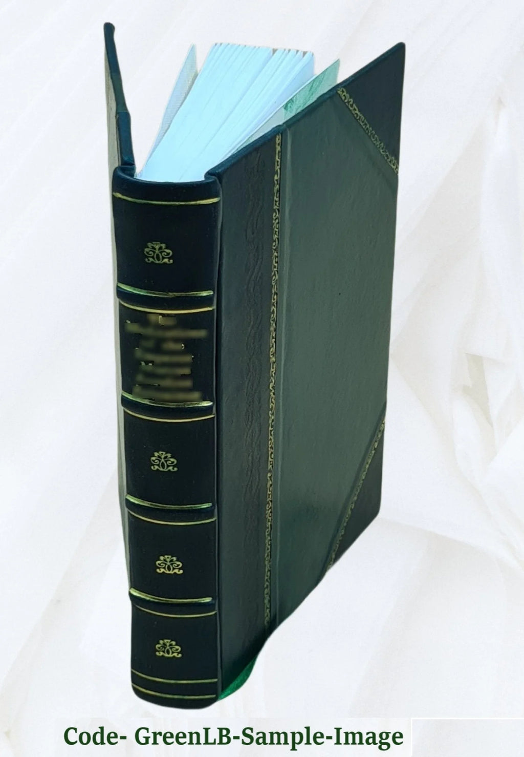 Leather Bound Environmental Impact Statement M695