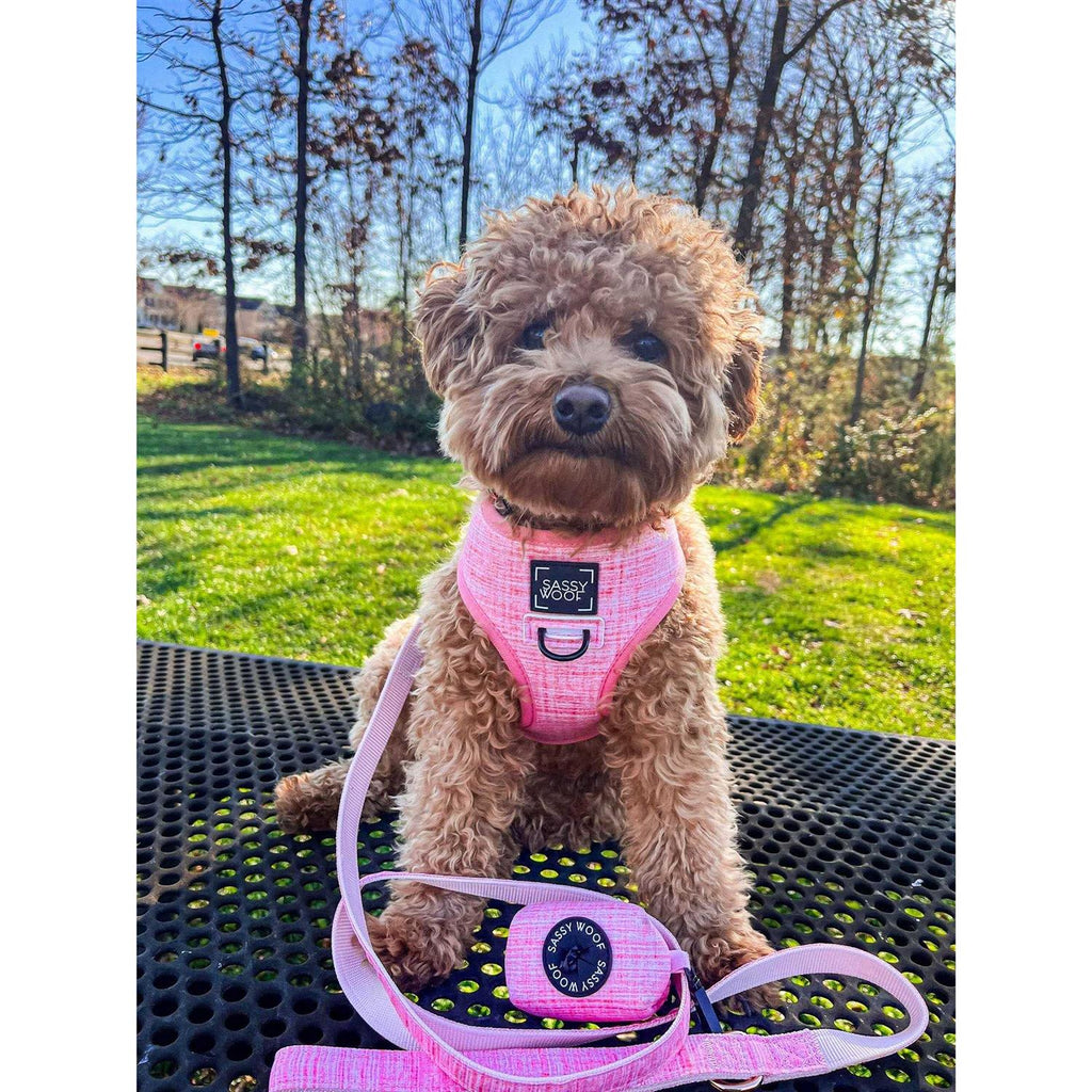 Reversible Dog Harness R970