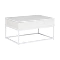 36 Inch Lift Top Storage Coffee Table Y61883