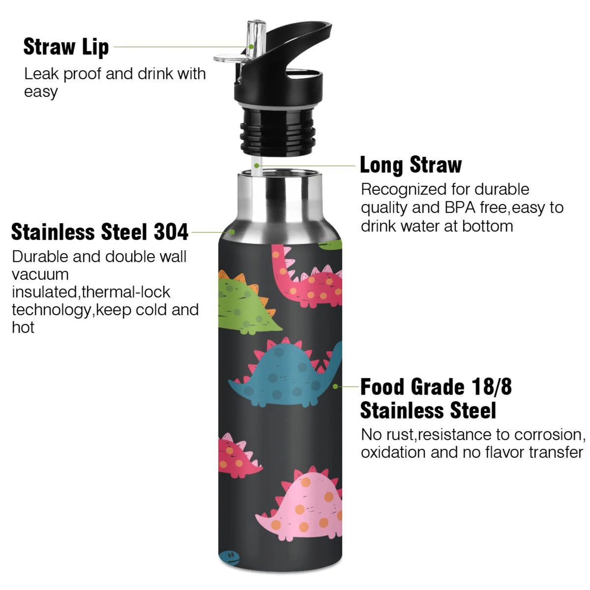 Rainbow Dinosaur Stainless Steel Insulated Water Bottle H7167