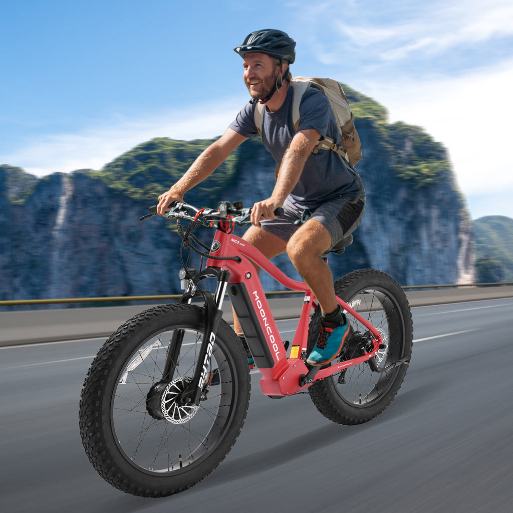 26" x 4" Fat Tire Electric Bike, 500W Dual Motor AWD Mountain Ebike, 48V 15AH Removable Battery, 7-Speed Electric Bicycle T6018