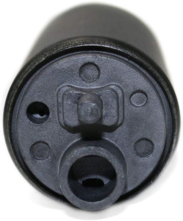 Fuel Pump with Strainer, Filter and Regulator Replacement U63533