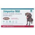 Dogs Pet Supplies P65381