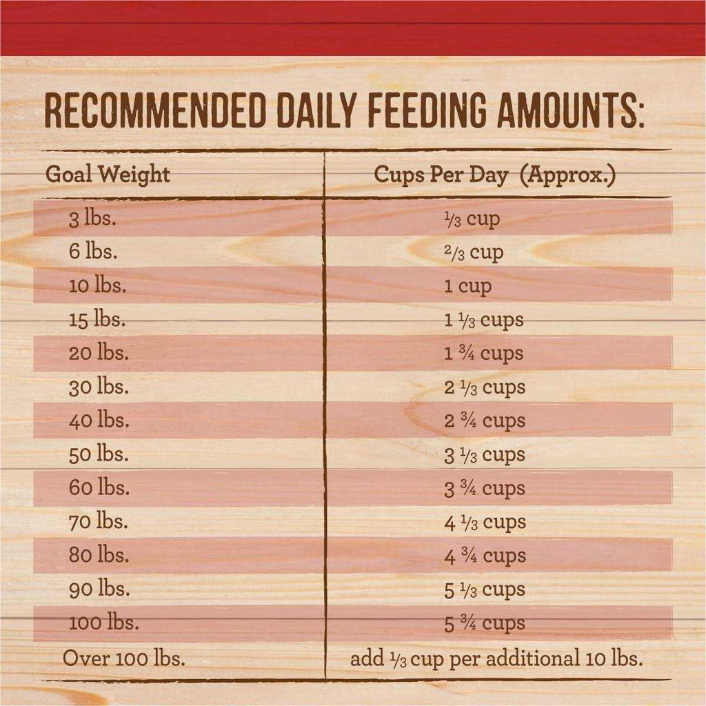 Healthy Grains Freeze Dried Raw Coated Kibble Dry Dog Food Brown Rice Recipe M868