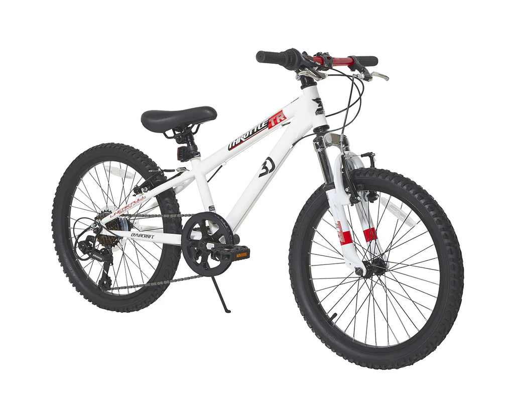 20-Inch Boys BMX Bike W6198
