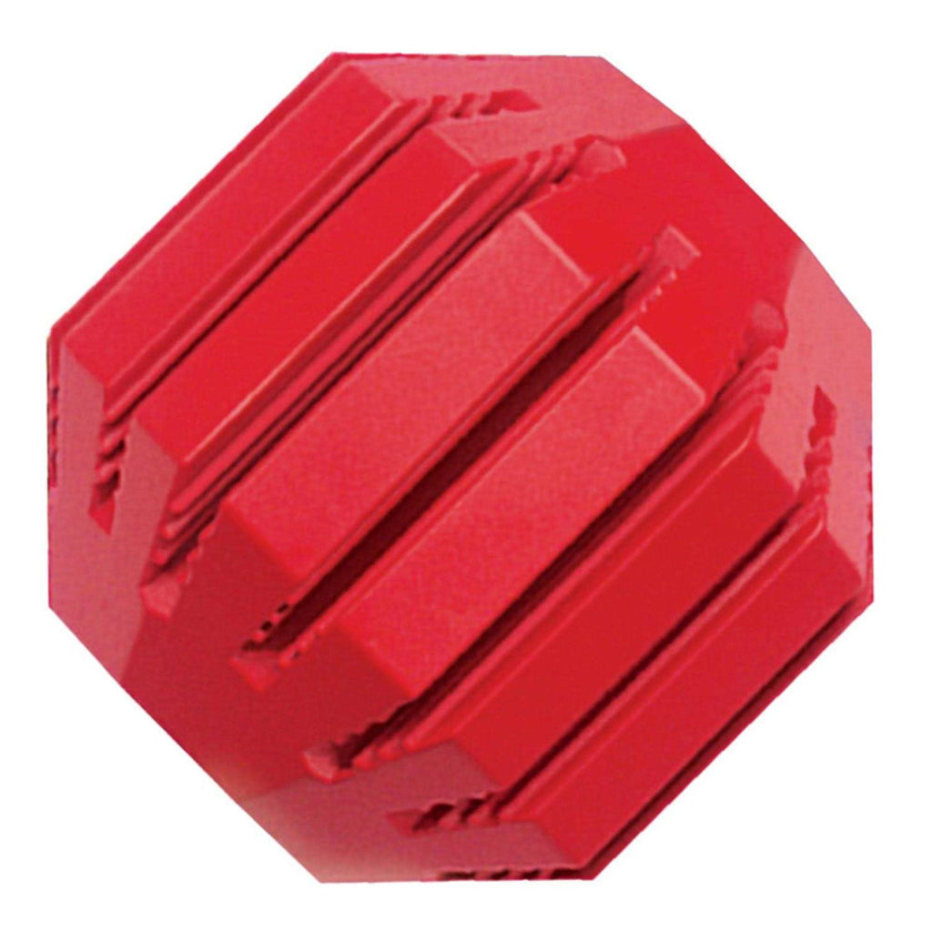 Dog Toy N49179
