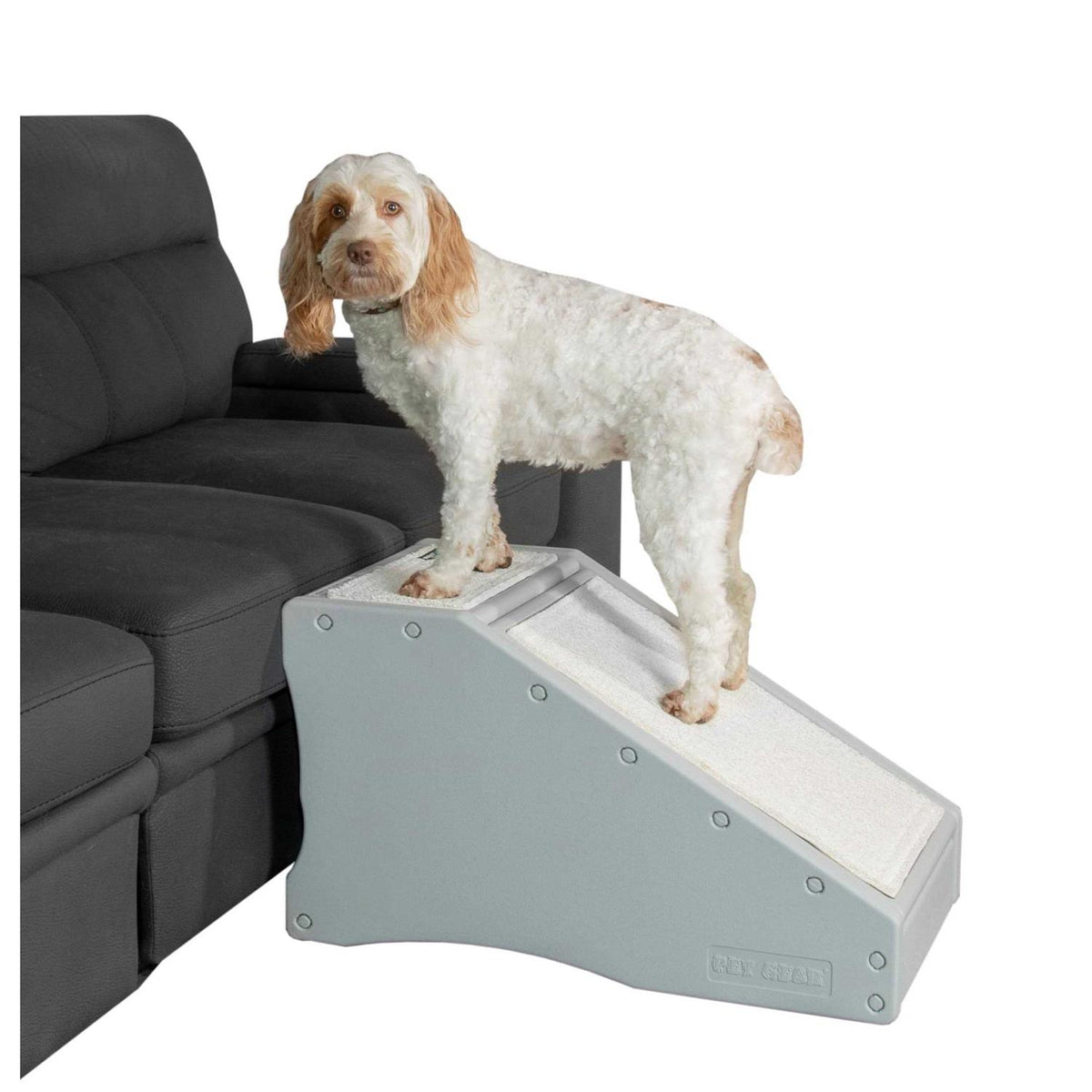 Pet Gear Step / Ramp Combination V35312