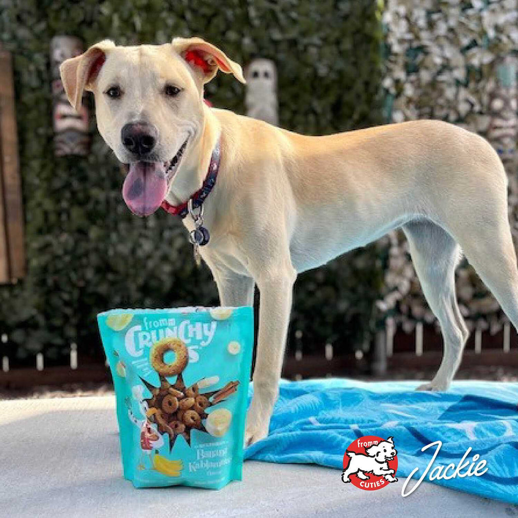 Dog Treats E813704