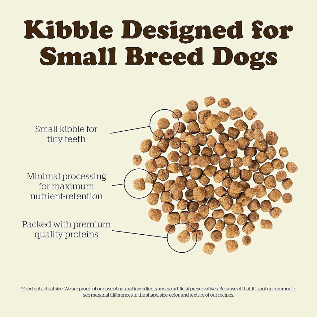 Grain-Free Senior Dry Dog Food I72571