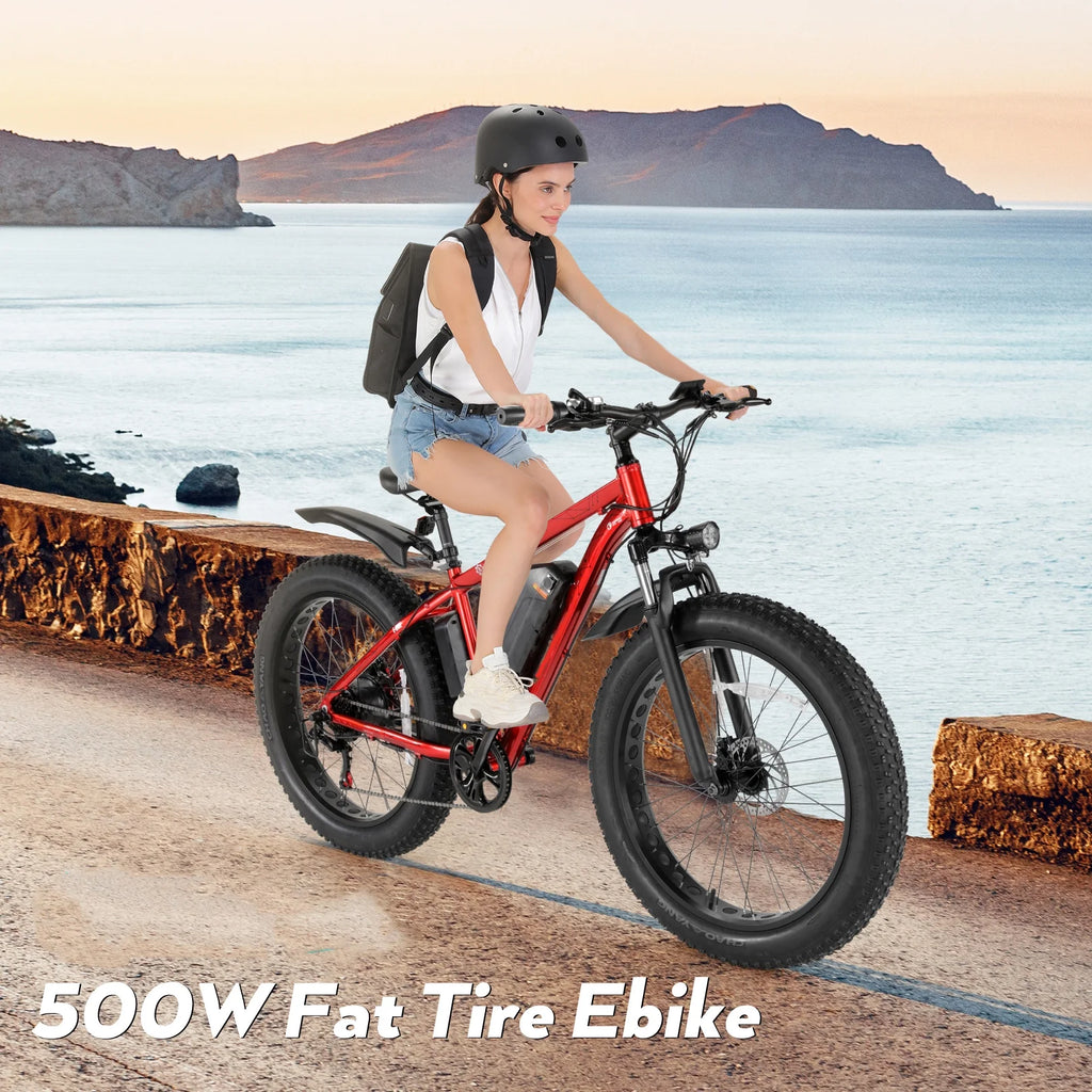 Electric Mountain Bicycle with 500W Motor and 48V Battery J3357