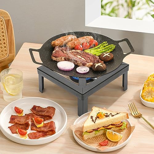 Portable Double Propane Gas Burner Cast Iron Stove with 1.5m Propane Regulator Hose L621039