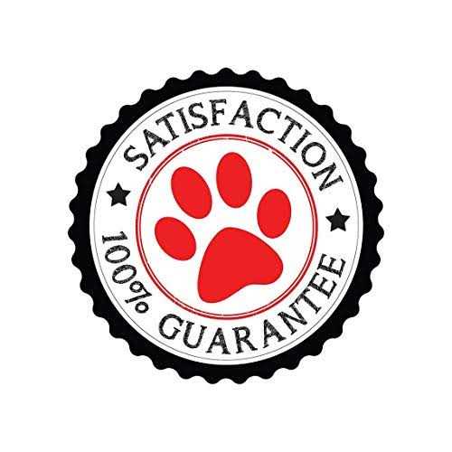 Hemp Calming Support Soft Dog Chews G75955