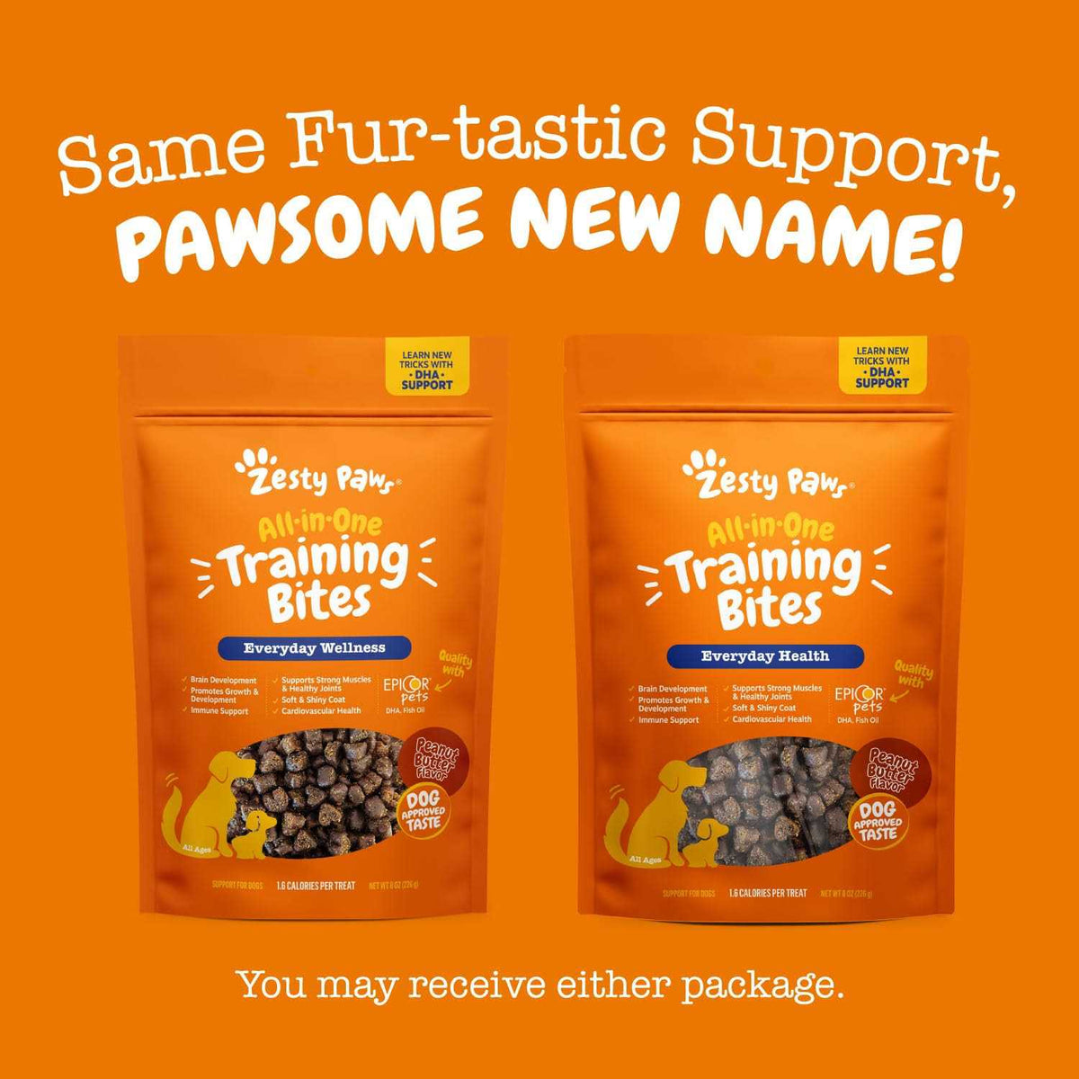 Training Treats for Dogs I749