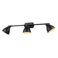 3 Light Bath Vanity with Matte Black Shade H6414