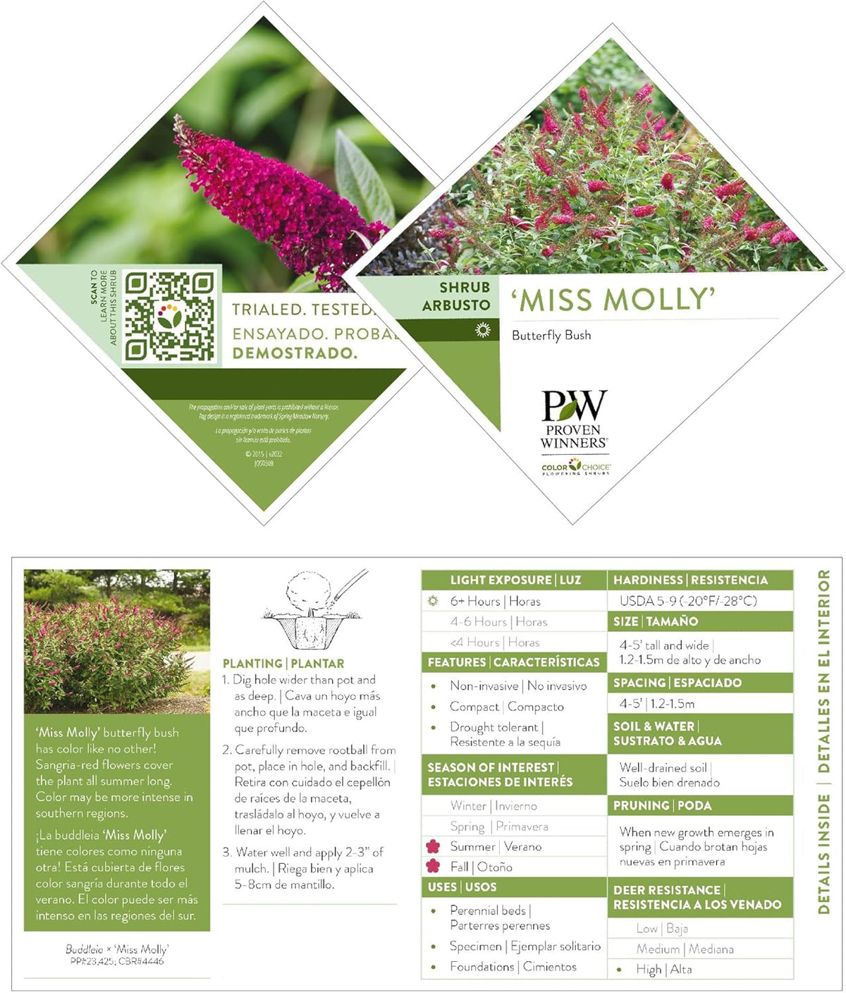 2 Gal Buddleia I1676