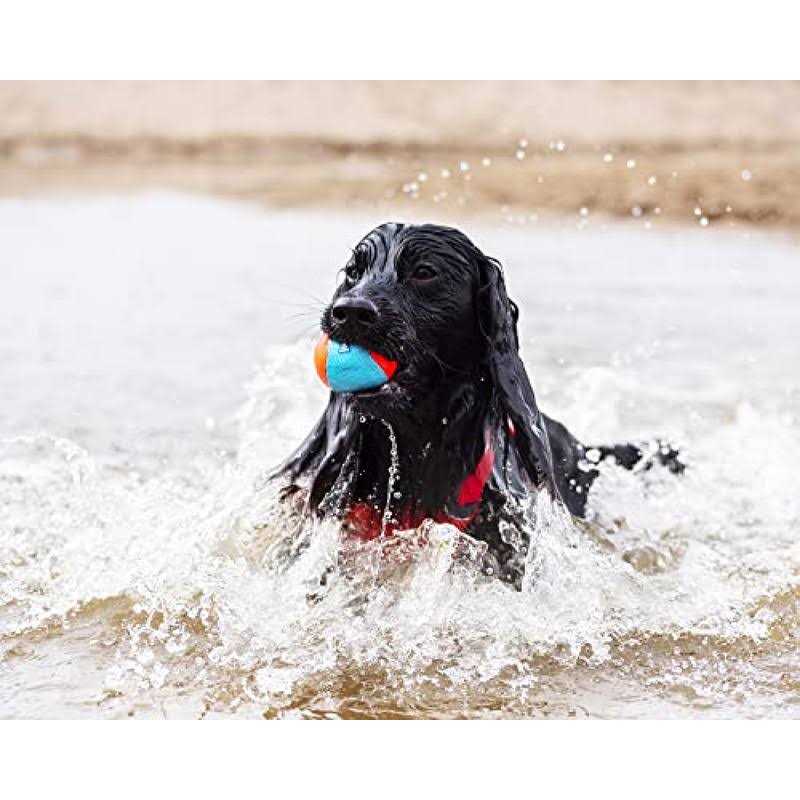 TPR Squeak Ball J237