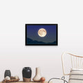 Black Framed Print M914259