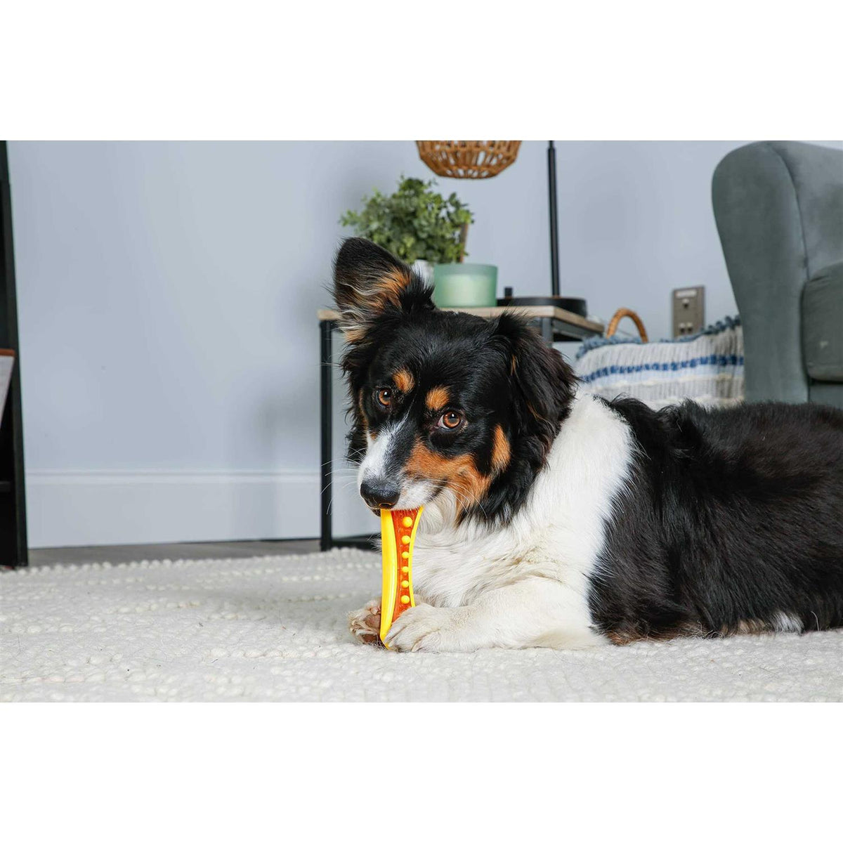 Chew 'n Clean Dental Duo Dog Chew Toy A6860