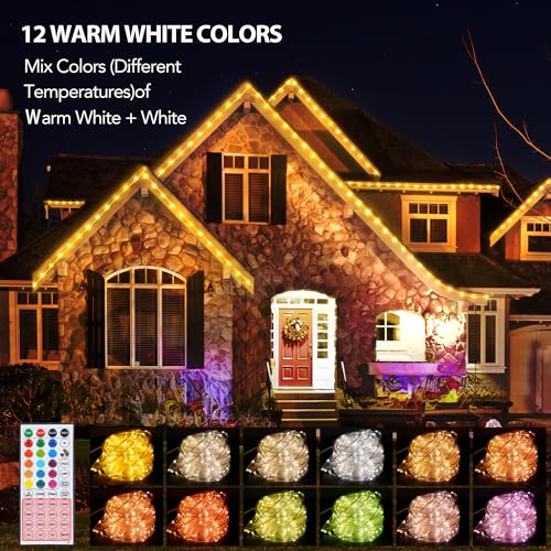 33ft Warm White 100 LED Rope Lights with Remote C664