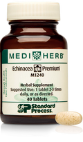 Echinacea 40 Tablets X244