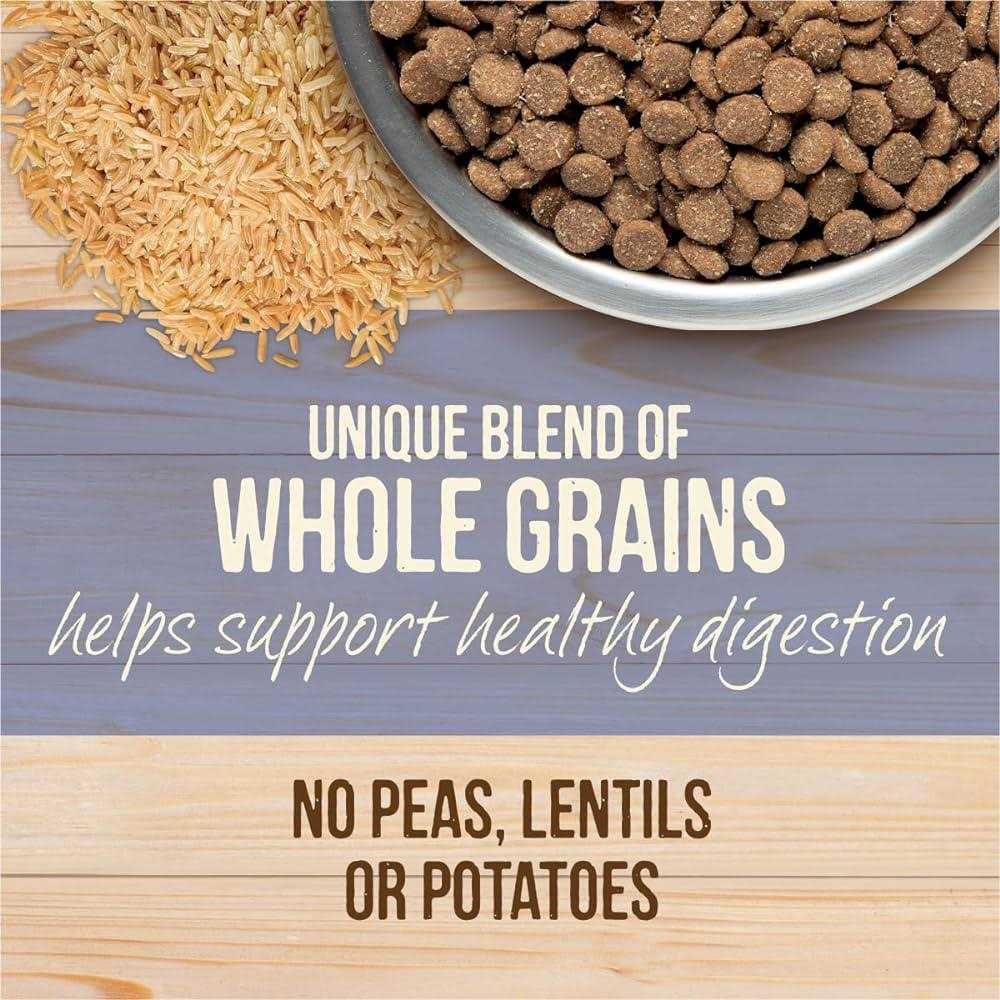 Healthy Grains Freeze Dried Raw Coated Dry Dog Food P364157