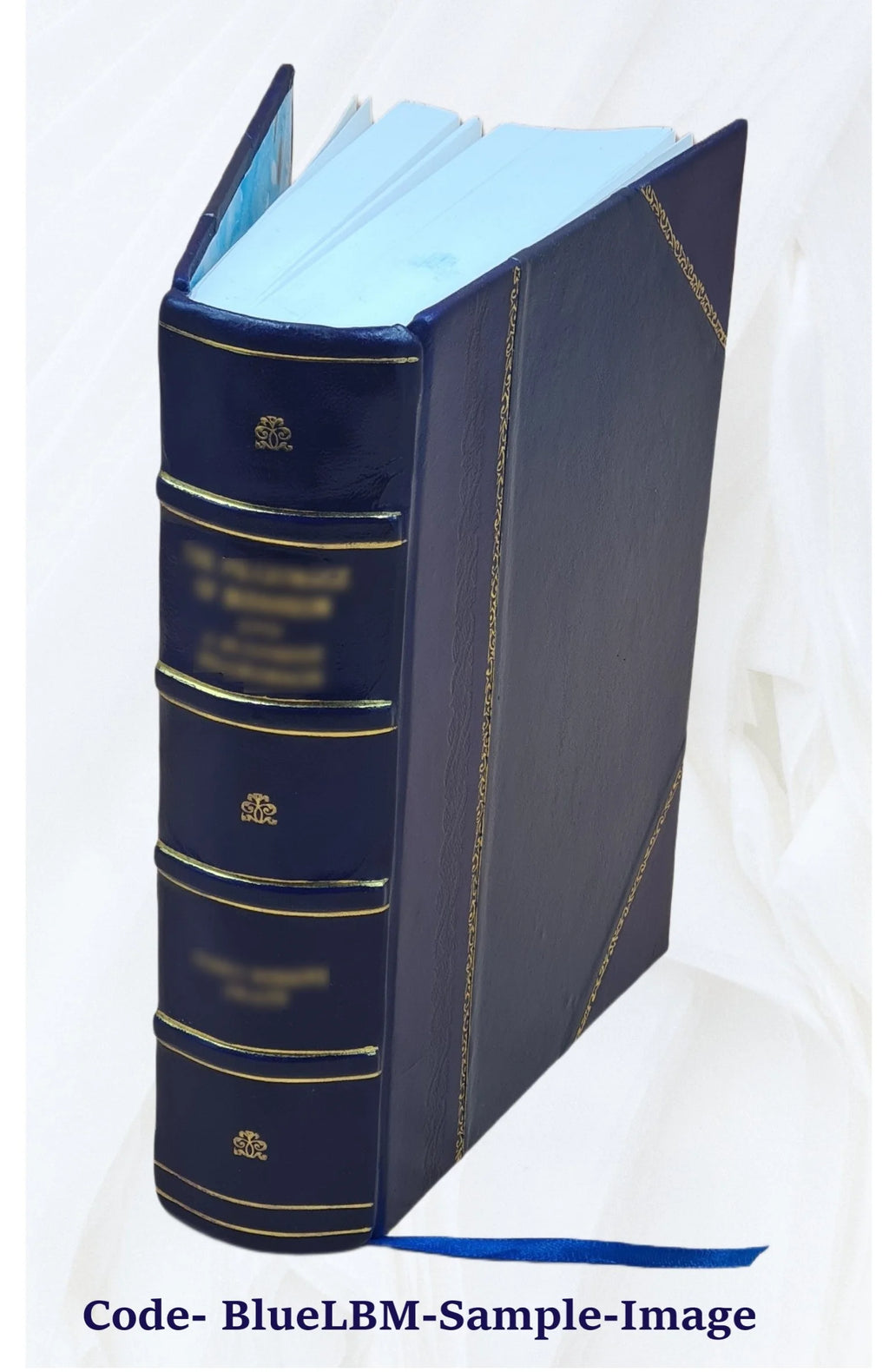 Leather Bound Book T338