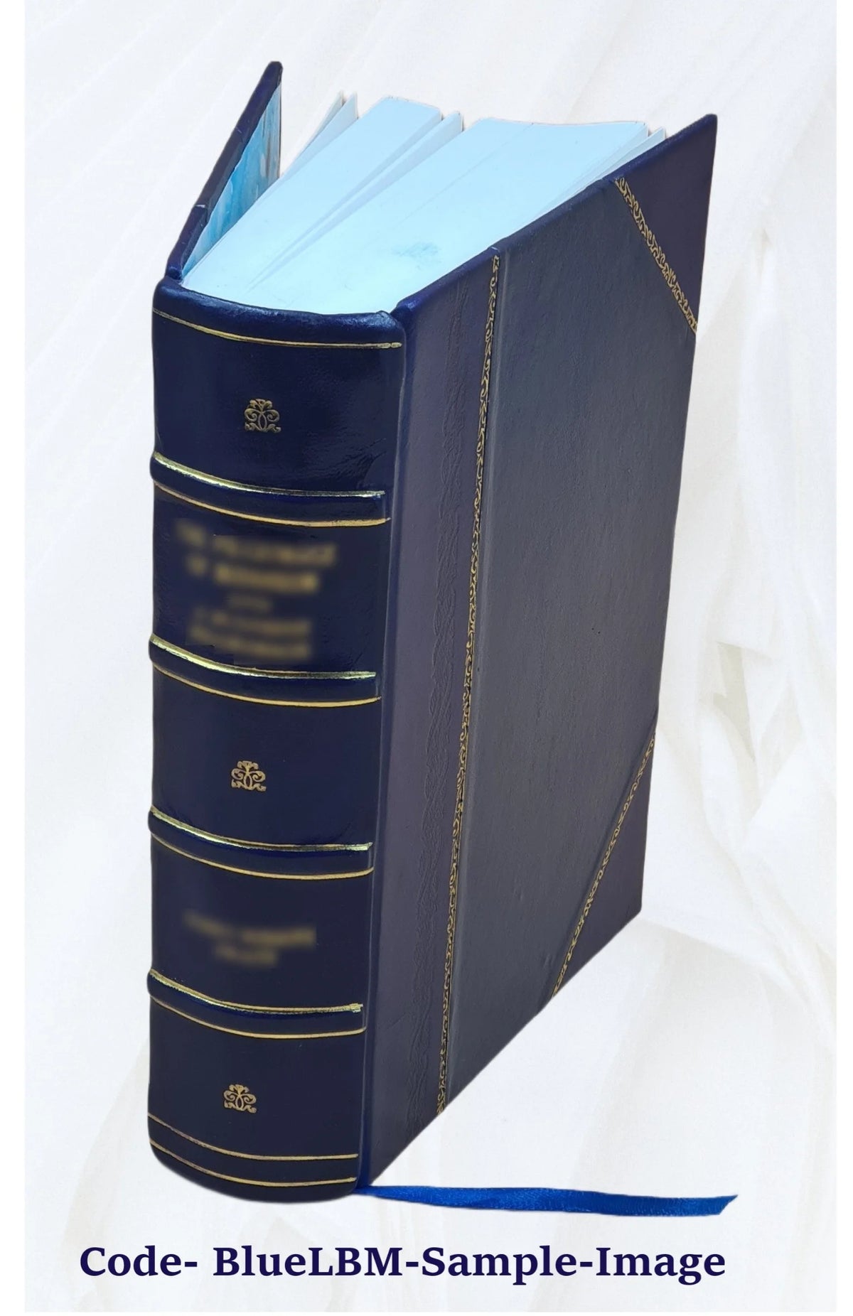 Leather Bound Book T338