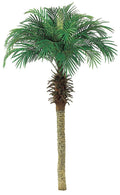 Pack of 2 Palm Tree F8809
