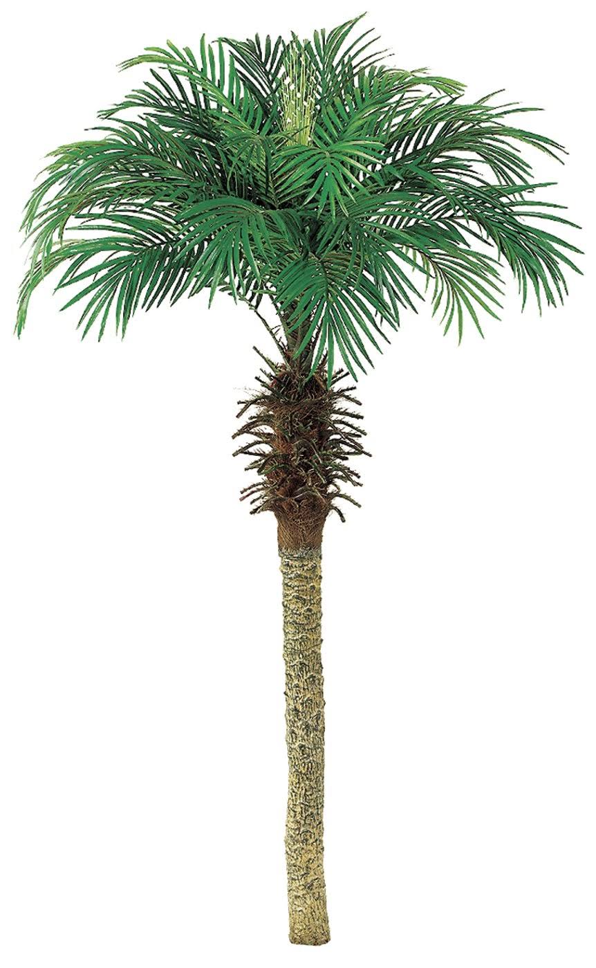 Pack of 2 Palm Tree F8809