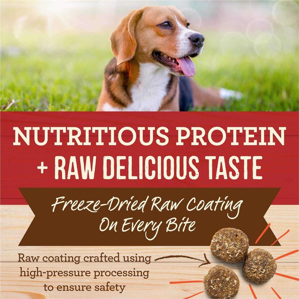 Healthy Grains Freeze Dried Raw Coated Kibble Dry Dog Food Brown Rice Recipe M868
