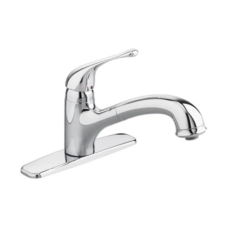 Stainless Steel Pull-Out Kitchen Faucet W709146