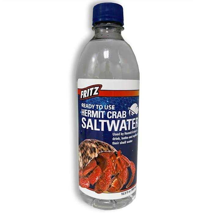 Hermit Crab Salt Water C367