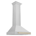 30 Inch Stainless Steel Range Hood with Gold Handle T334