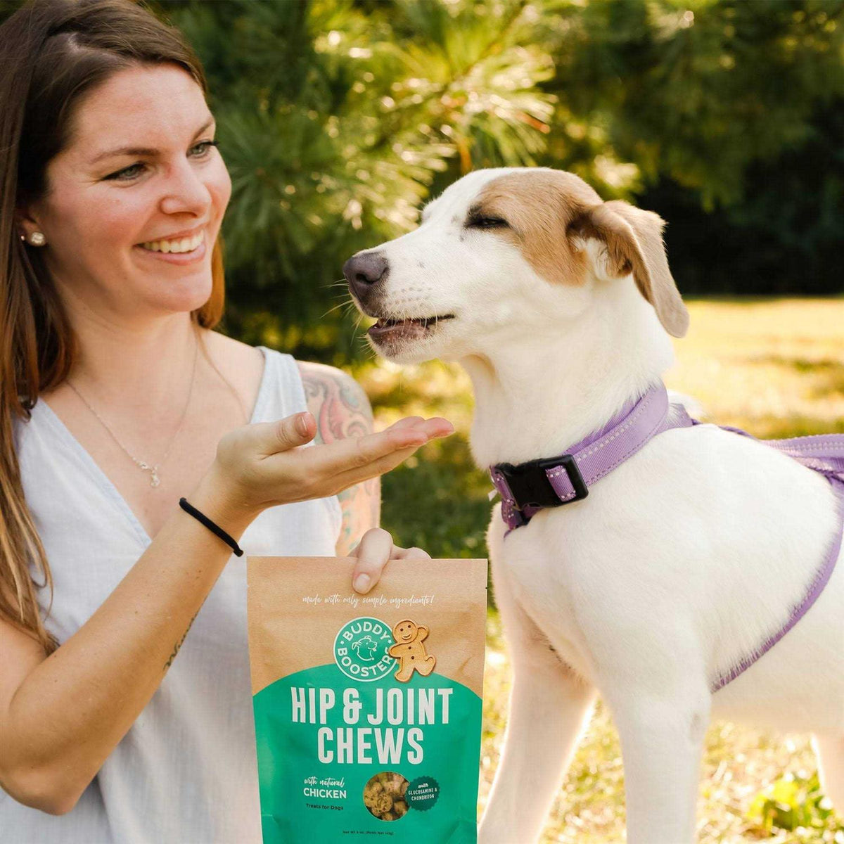 Chicken Hip & Joint Dog Treats W44942
