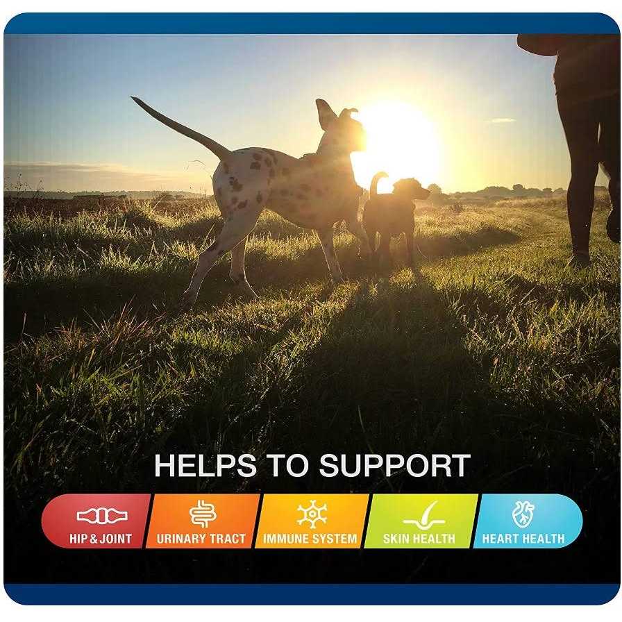 5-in-One Soft Chews for Dogs I40304