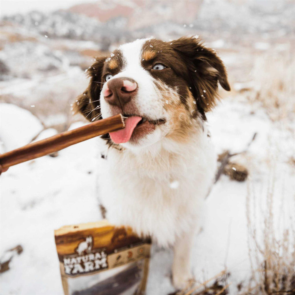 Odor Free Bully Sticks Q171938