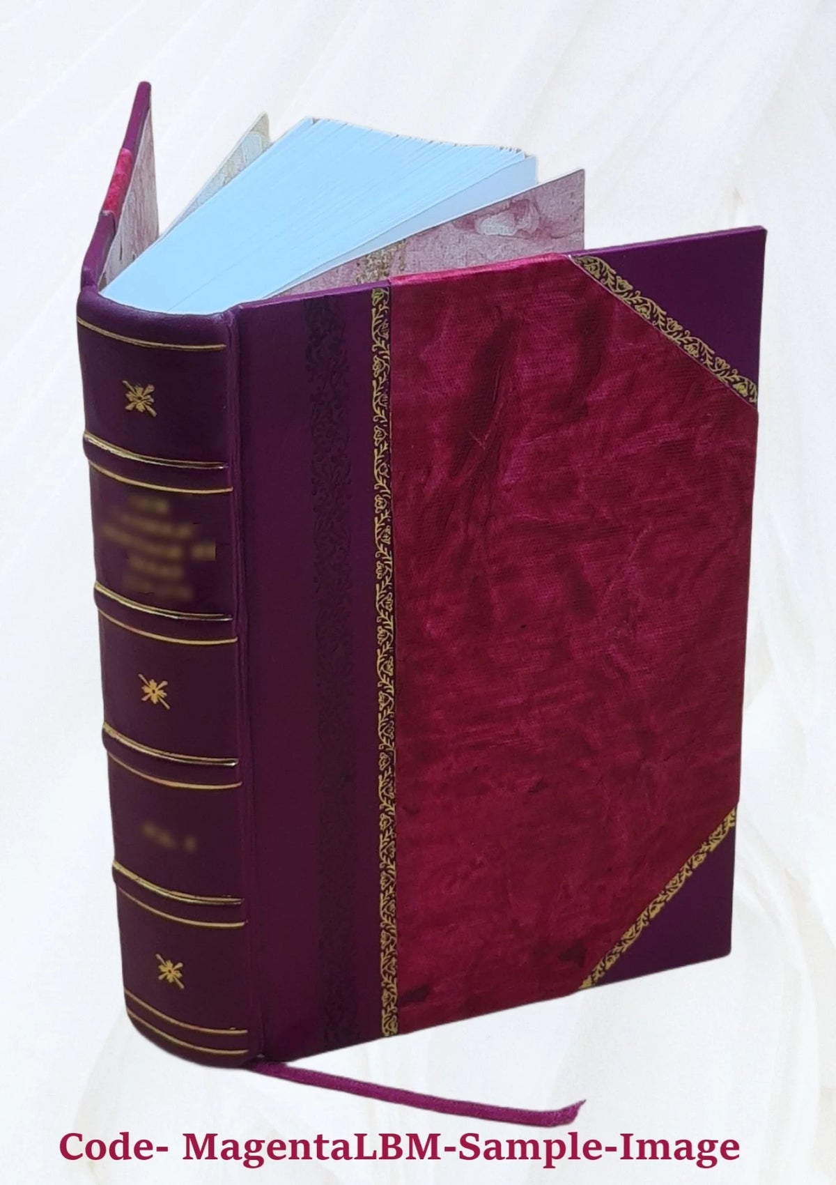 Leather Bound Book J4663