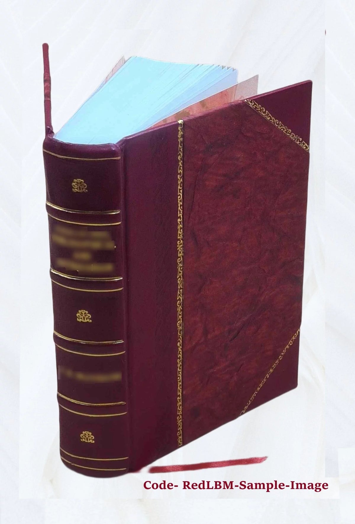 Leather Bound Book J4663