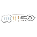 Carburetor Rebuild Kit D146782
