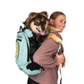 Pet Supplies B9169