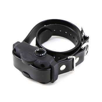 No Bark Collar I8869