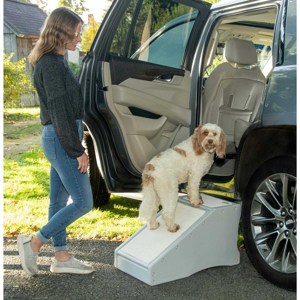 Pet Gear Step / Ramp Combination V35312