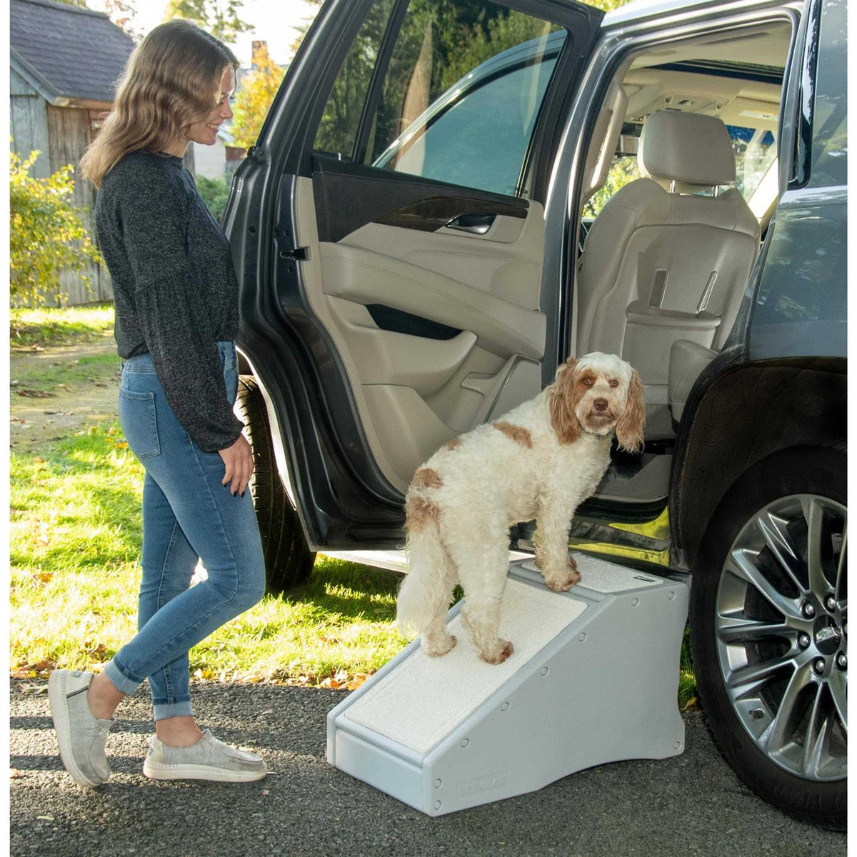 Pet Gear Step / Ramp Combination V35312