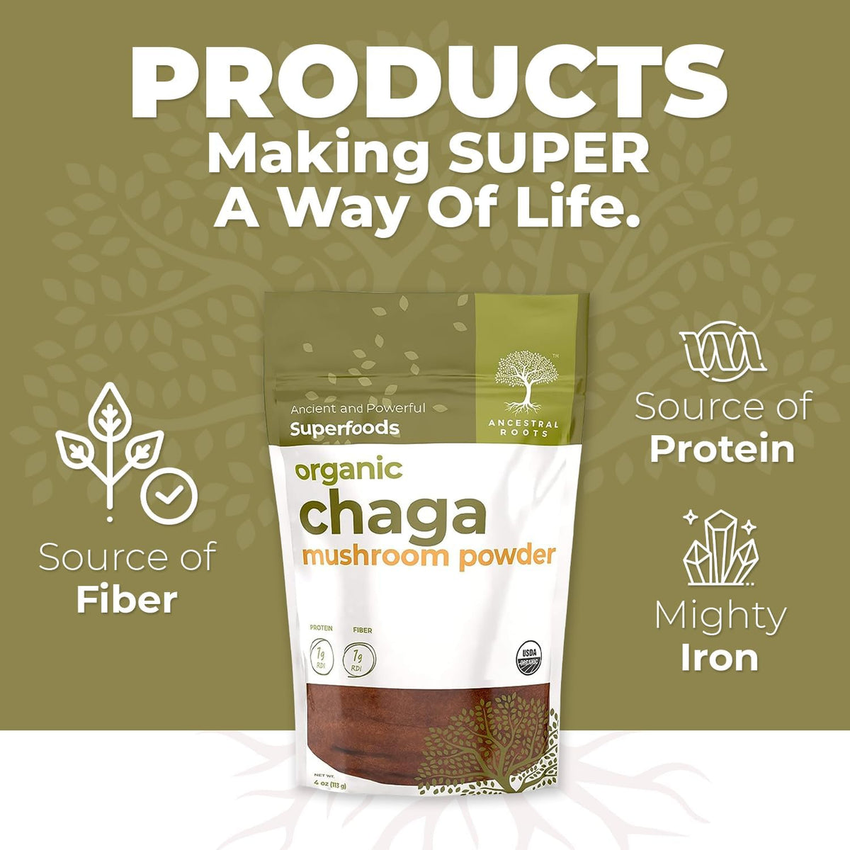 Organic Chaga Mushroom Powder, 4 oz, USDA Organic B894