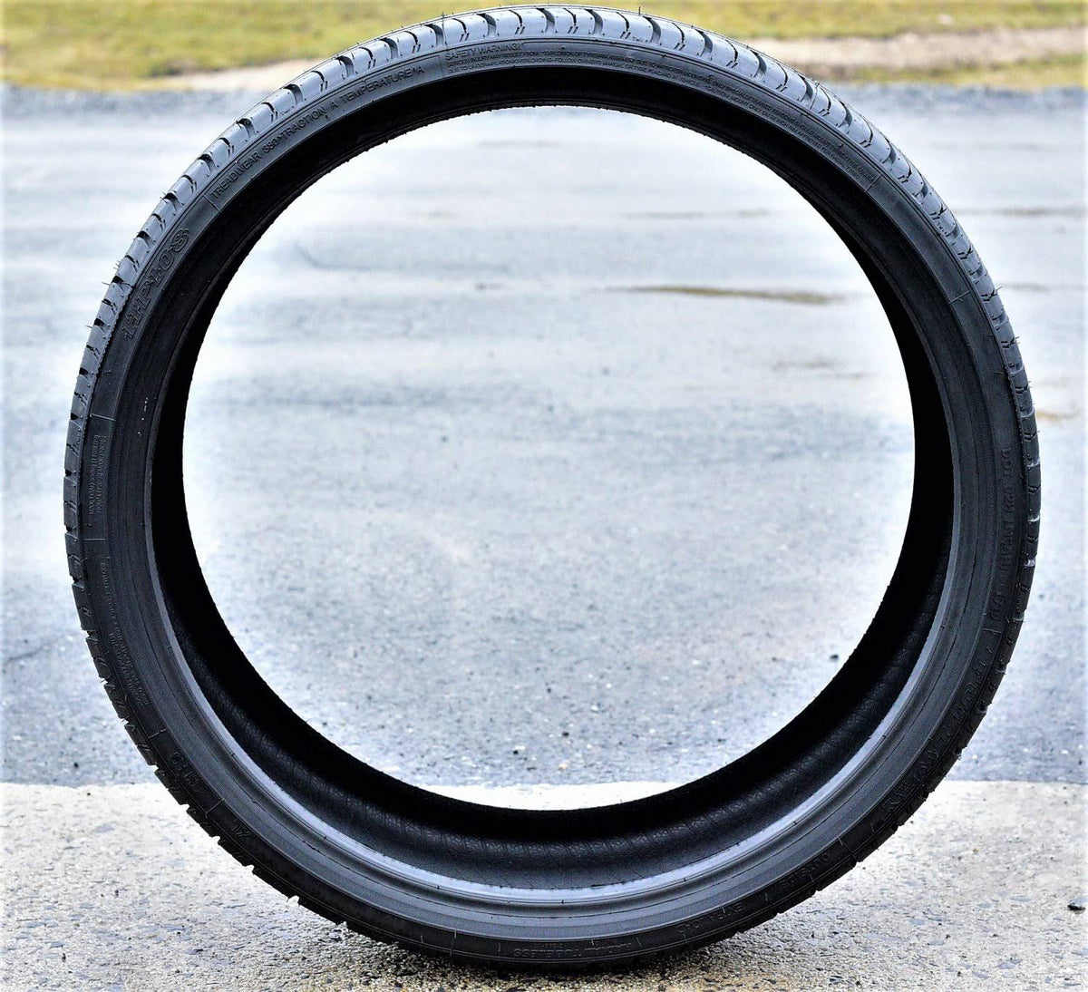 225/30R22 86w XL High Performance Summer Tire V2896