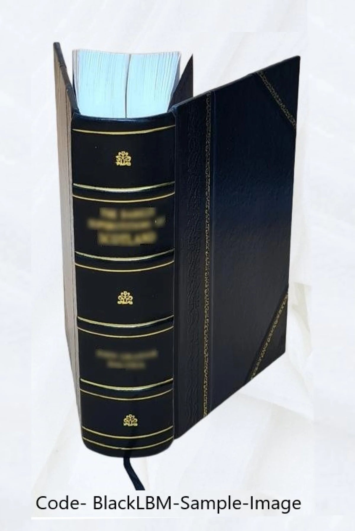 Leather Bound Book T338